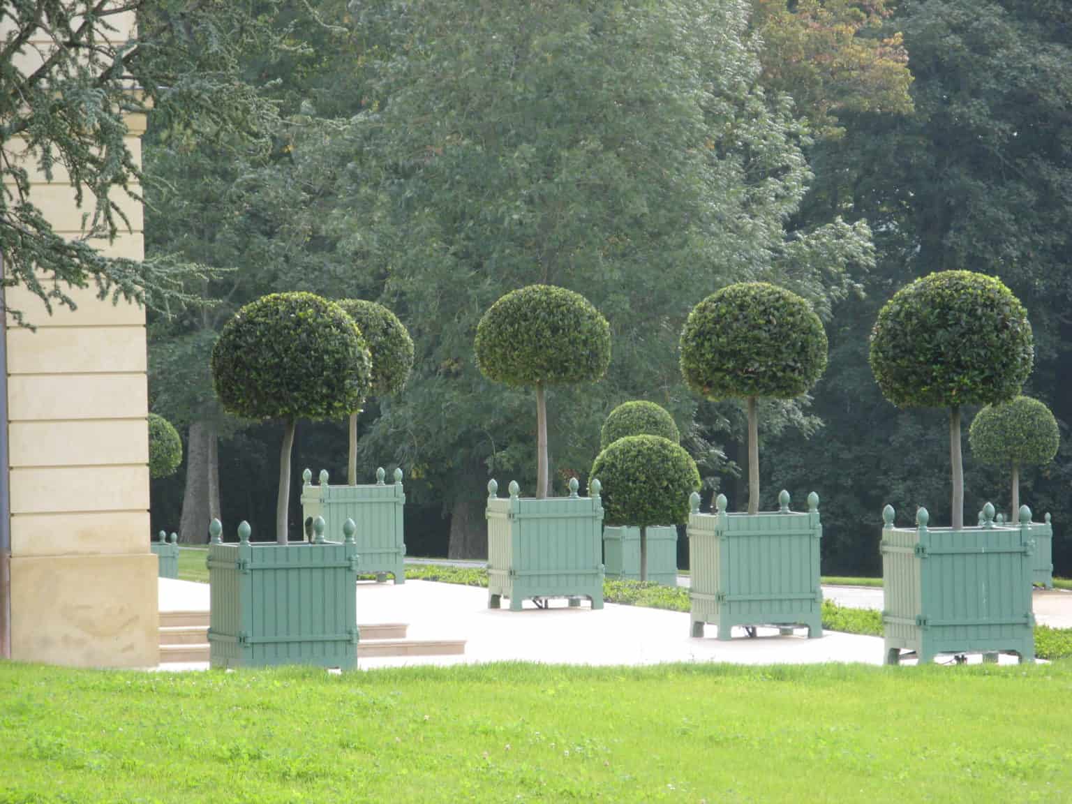 Caisse à oranger Château de Versailles©