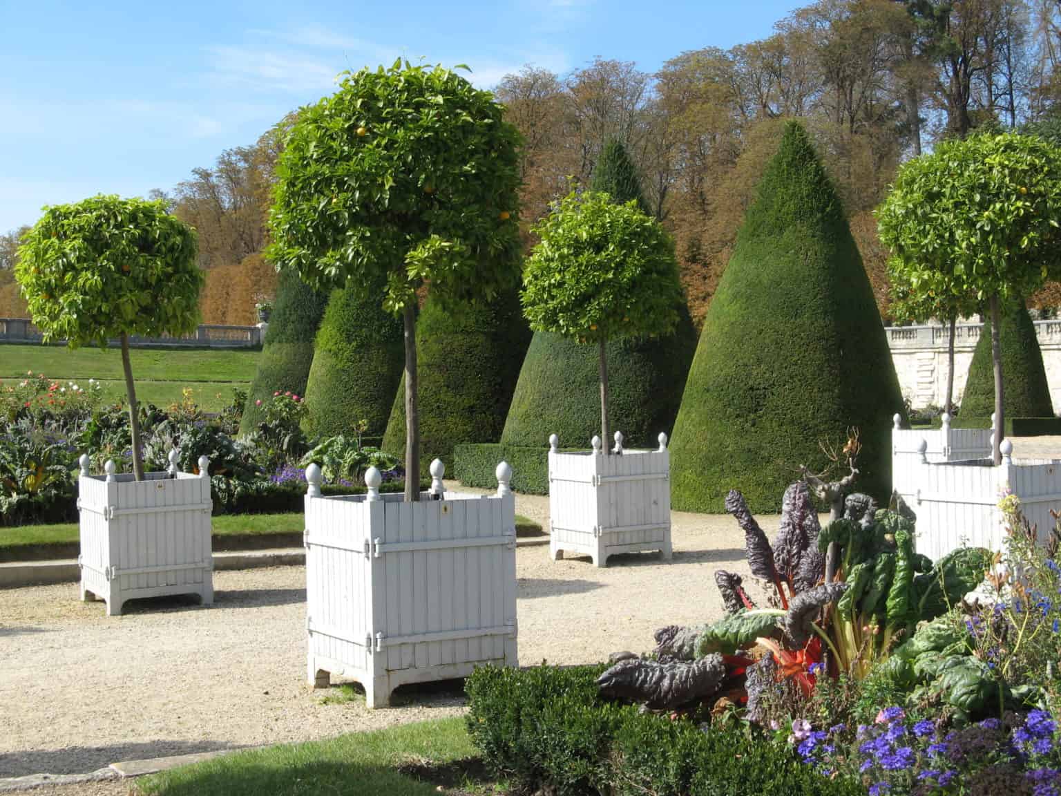 Caisse à oranger Château de Versailles©