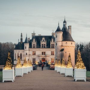 Caisse à oranger devant le Château de Chenonceau