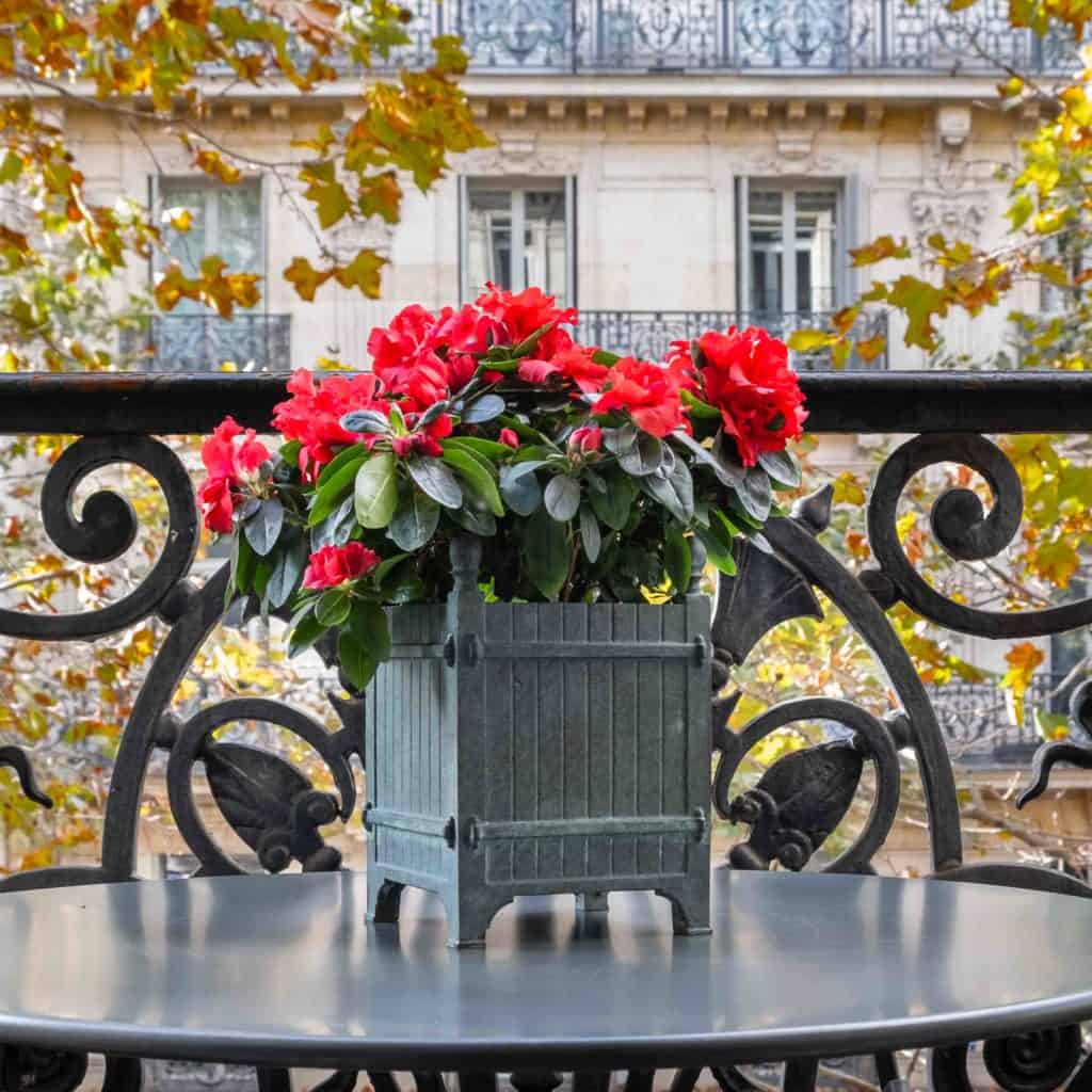 Caisse à oranger en bronze